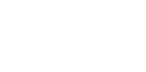 soft advantage logo (1) 02